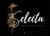SELECTA MODA 2027 - Inicio